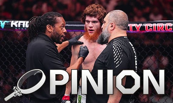 Рефери в UFC: проблема, которую не замечают, и Херб Дин в центре скандала